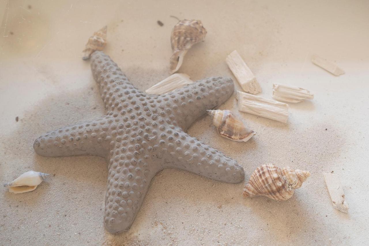 Strandfee Sommerglueck Grömitz Esterno foto